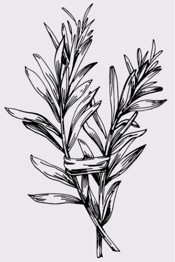 Description of image